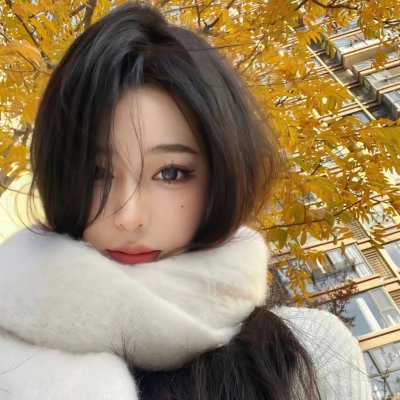 汽车先生和圣殿骑士团